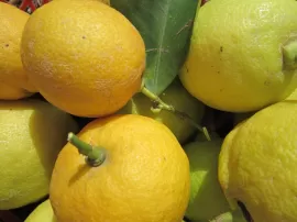 Descubre la amplia variedad de opciones de alimentación Pulco Limón en Mercadona