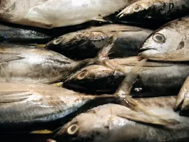 Compra alimentos para peces en Mercadona Dr Wu Tetra y otros al mejor precio