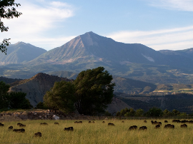 Estética de uñas de gel en guadalajara