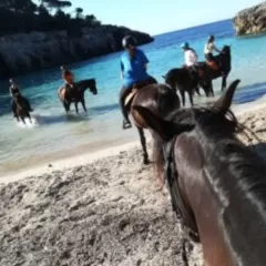 Descubre la belleza de Menorca a caballo: las mejores rutas y excursiones