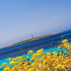 Descubre las mejores propuestas de primavera en Menorca