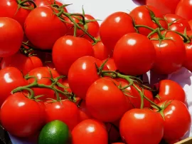 Descubre cómo plantar tomates y pimientos juntos en tu huerto de manera exitosa
