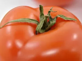 Compra el mejor tomate confitado en Mercadona y disfruta de su sabor único