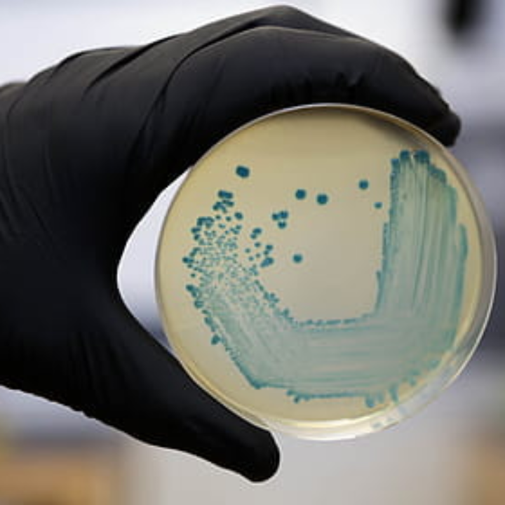 Análisis comparativo: Las mejores colonias Eugene para destacar tu estética