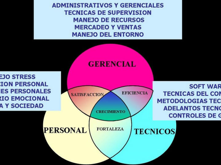 Análisis Comparativo: Los Mejores Acondicionadores Método Curly del Mercado
