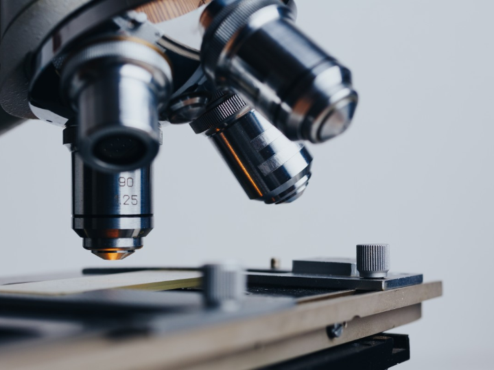 Análisis comparativo: Peinados icónicos de la década de 1900 y los productos de estética ideales para recrearlos