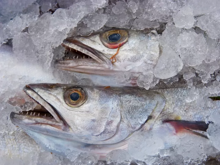 bunuelos de bacalao en freidora de aire