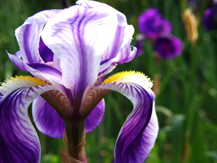casmara q10 rescue opiniones