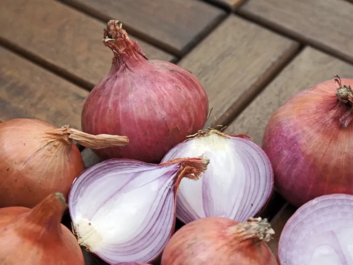 cebolla mercadona precio