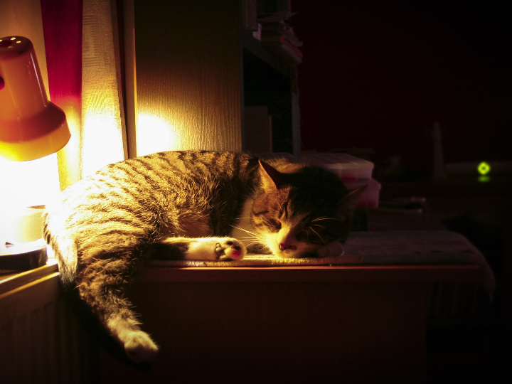 Cómo iluminar una cocina. Trucos fáciles para conseguirlo