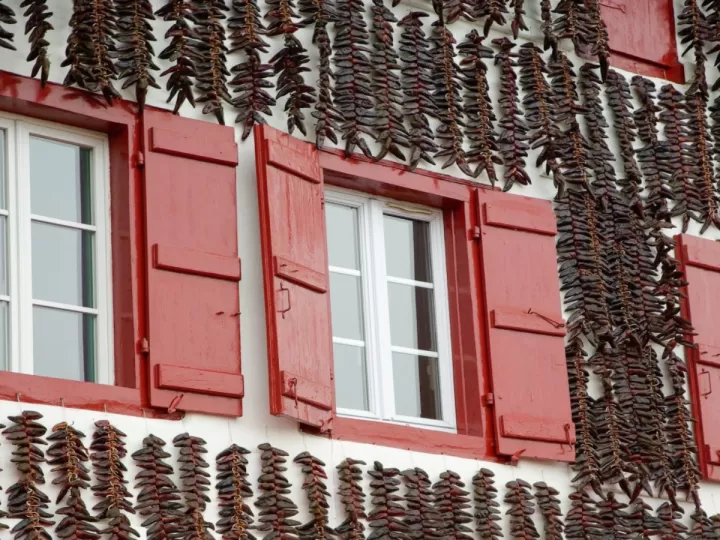 custodia compartida pais vasco