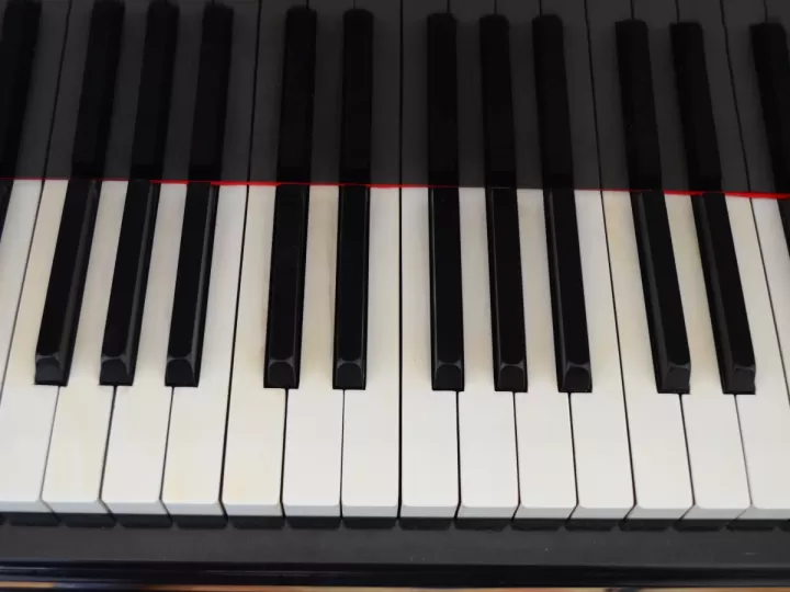 dr arthouros alba opiniones