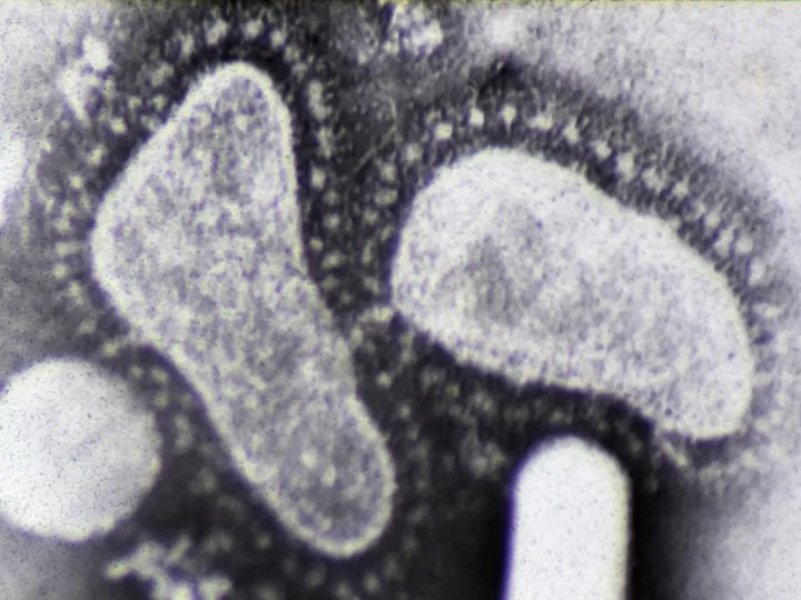 epaplus melatonina opiniones