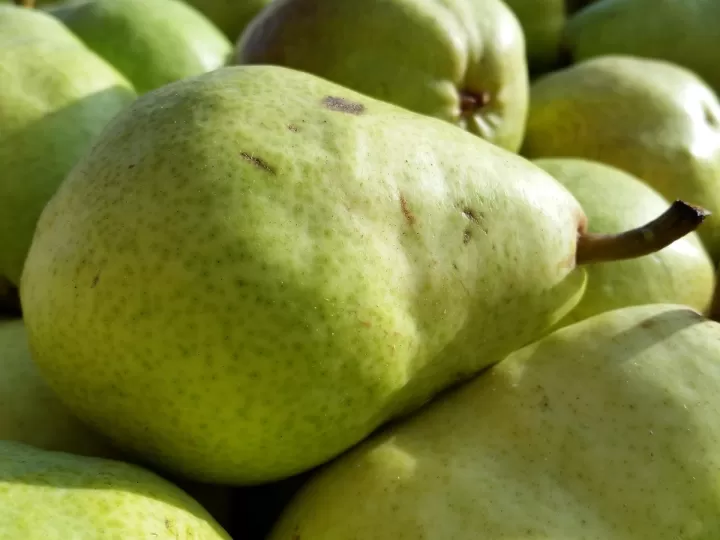 natura bisse vitamina c opiniones