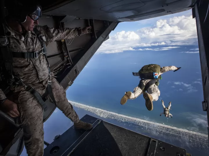 ornitina para que sirve