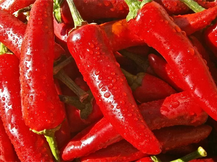 pimiento mulato