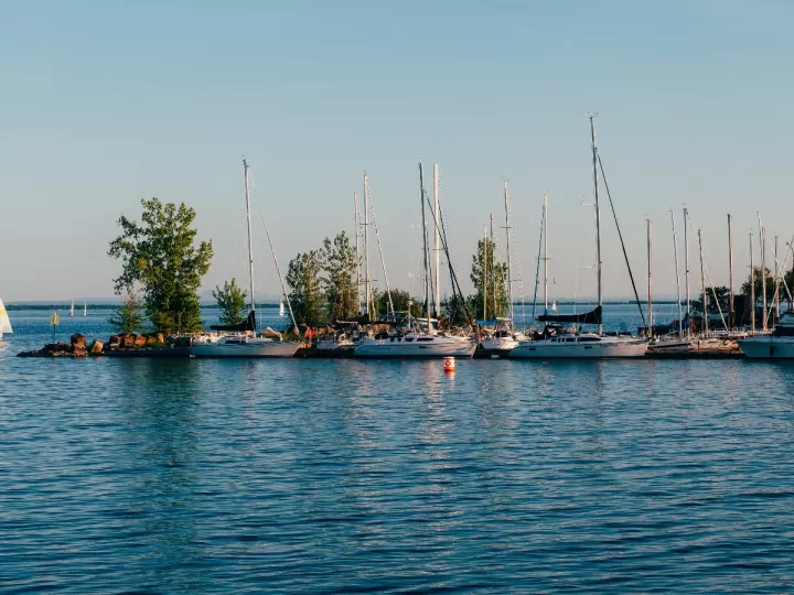 sal marina