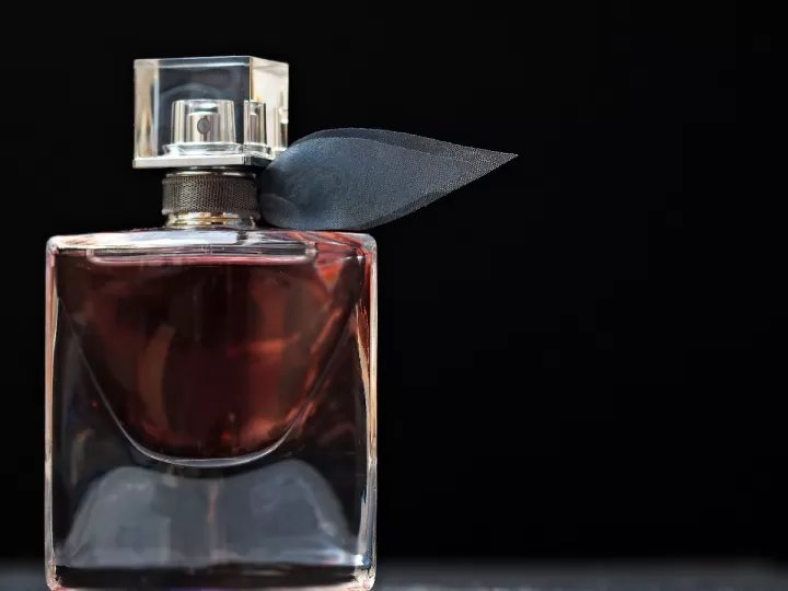 senses perfumes equivalentes