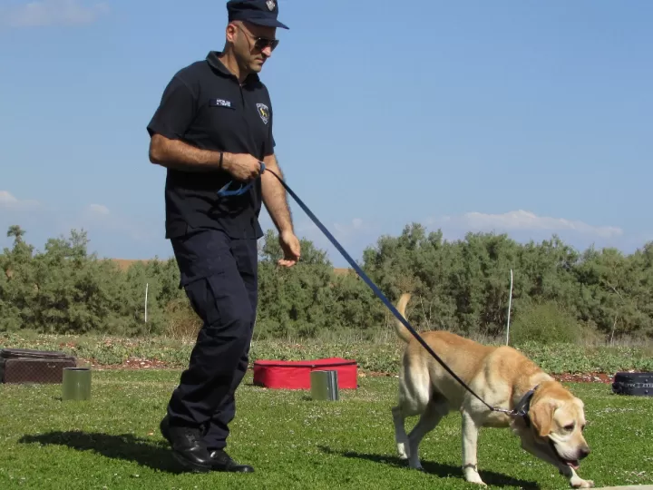 taxi perros barcelona