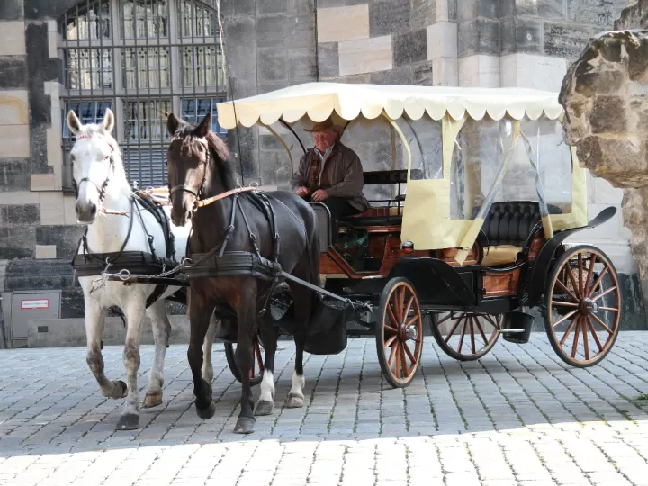 tipos de coche de caballos