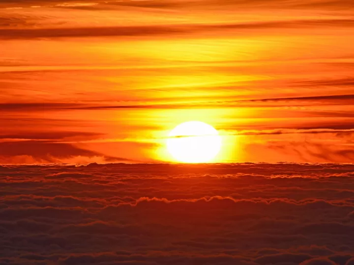 tom ford soleil blanc