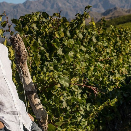 Maël, enologo a Minorca, ci racconta la sua passione per il vino