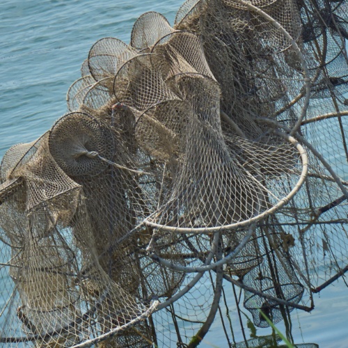 Nuova vita alle reti da pesca a Minorca
