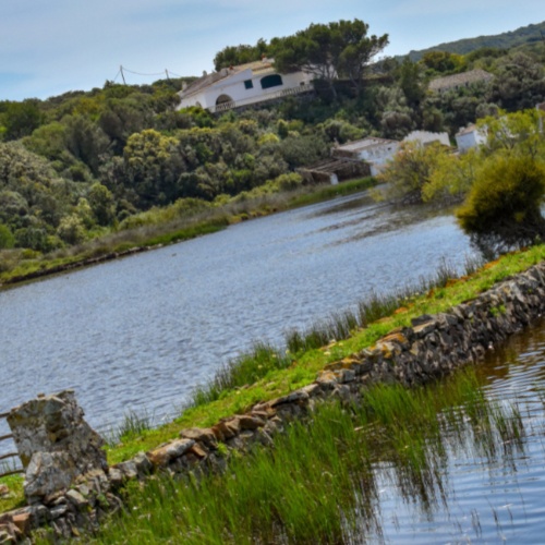 Parque de S'Albufera d'Es Grau: el Pulmón Verde de Menorca