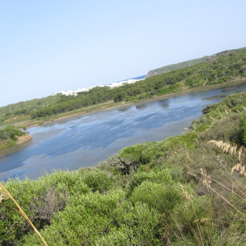Parque de S'Albufera d'Es Grau: el Pulmón Verde de Menorca