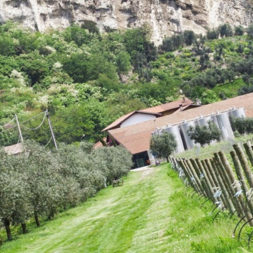Visite guidate e degustazioni in 5 “llocs” (fattorie) di Es Castell